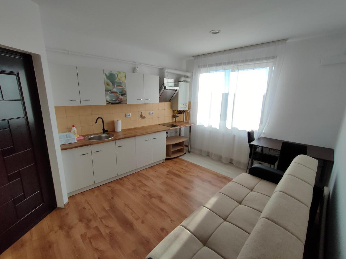 Fanea Residence Temesvár Kültér fotó