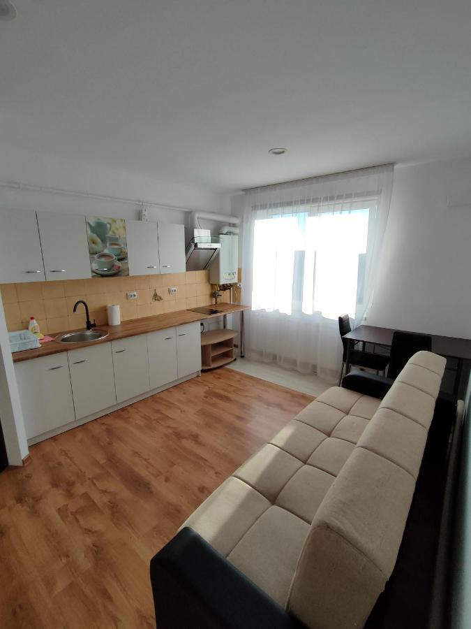 Fanea Residence Temesvár Kültér fotó